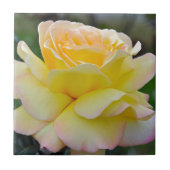 Single Fliese (Vorderseite)