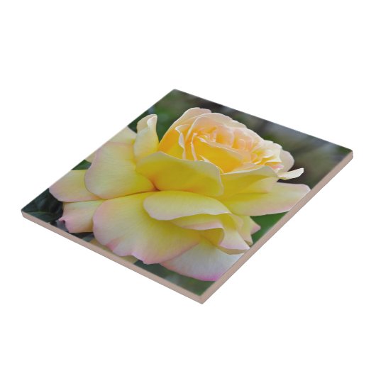 Single Fliese (Seite)