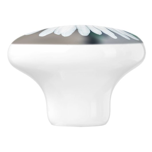 Single-Gänseblümchen-Blumen-Keramik-Griff Keramikknauf (Seitenansicht)