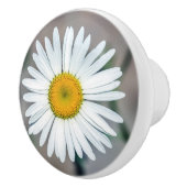 Single-Gänseblümchen-Blumen-Keramik-Griff Keramikknauf (Rechts)