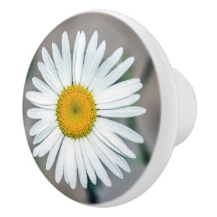 Single-Gänseblümchen-Blumen-Keramik-Griff Keramikknauf