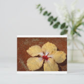 Single Gelbe Hibiskus Blume Postkarte (Stehend Vorderseite)