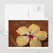 Single Gelbe Hibiskus Blume Postkarte (Vorne/Hinten)