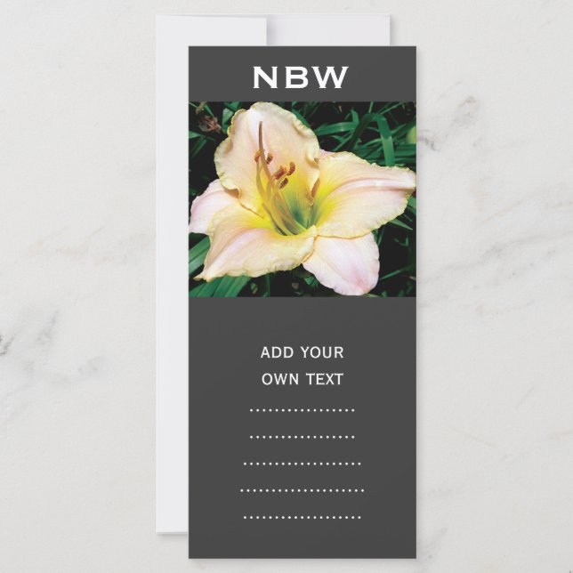 Single gelbe Lilie Blume. (Vorderseite)