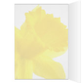 Single Gelbe Narzisse Daffodil (Innen (Links))