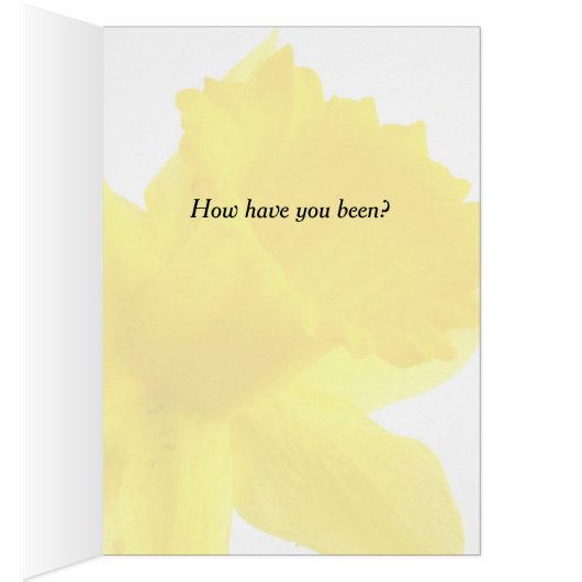 Single Gelbe Narzisse Daffodil (Innen (Rechts))