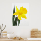 Single Gelbe Narzisse Daffodil Poster (Küche)