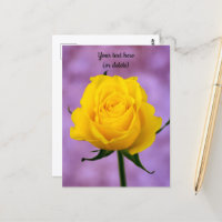 Single Gelbe Rose Postkarte