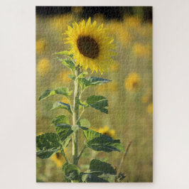 Single Gelbe Sonnenblume Puzzle