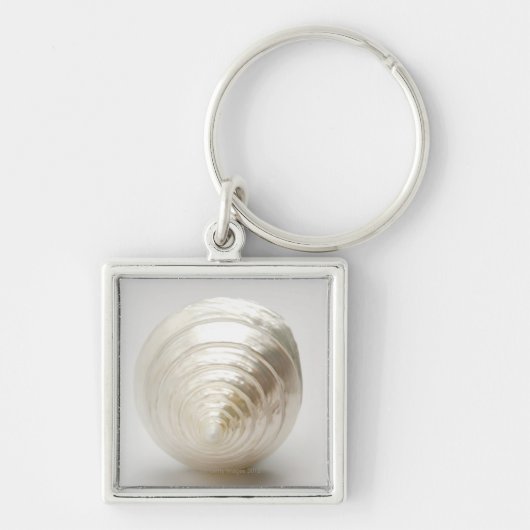 Single gewundener Seashell Schlüsselanhänger (Vorne)