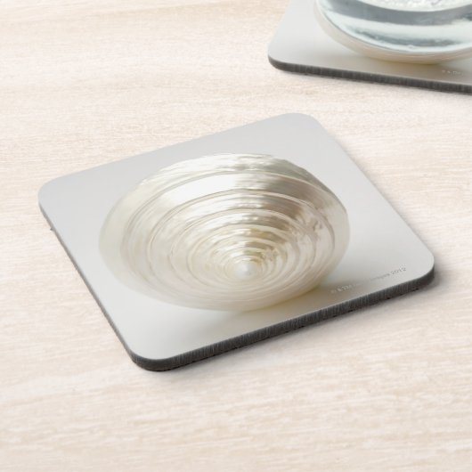 Single gewundener Seashell Untersetzer (Linke Seite)