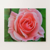 Single Große rosa Rosa Rosa Nah Puzzle (Horizontal)