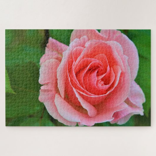 Single Große rosa Rosa Rosa Nah Puzzle (Horizontal)