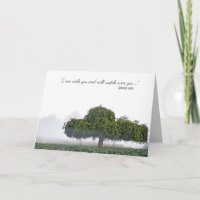 Single-Grünbaum im nebeligen Beileid