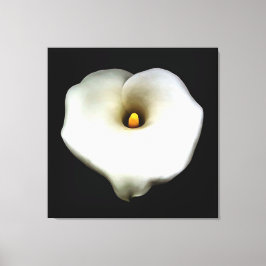 Single Heart Shaped Calla Lily Abgeschieden Leinwanddruck