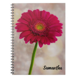Single Hot Pink Gerbera Spiral Notebook Notizblock