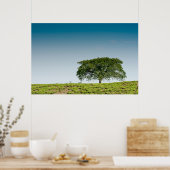 Single in Teeplantagen Poster (Küche)