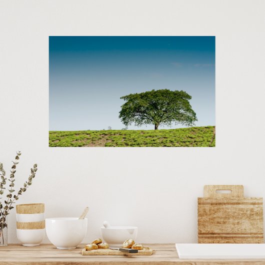 Single in Teeplantagen Poster (Küche)