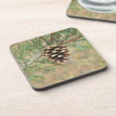 Single-Kiefern-Kegel-Untersetzer Getränkeuntersetzer (Linke Seite)