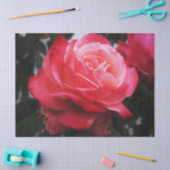 Single Lachs Rose Seidenpapier (Basteln)