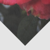 Single Lachs Rose Seidenpapier (Detail)