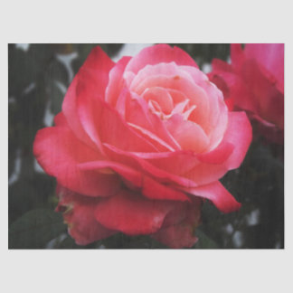 Single Lachs Rose Seidenpapier