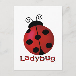 Single Ladybug Postkarte
