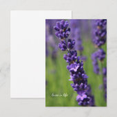 Single Lavender Stem Mitteilungskarte (Vorne/Hinten)