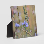 Single Lila Blume ~ 5,25 x 5,25 mit Easel Fotoplatte (Vorderseite)