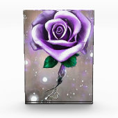 Single Lila Rose Fotoblock (Vorderseite)