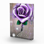 Single Lila Rose Fotoblock (Rechts)