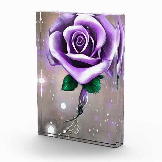 Single Lila Rose Fotoblock (Rechts)