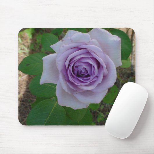 Single Lila Rose Maus Pad Mousepad (Mit Mouse)