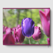 Single Lila Tulip Gästebuch (Rückseite)