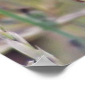 Single Lila Wildblume Poster (Ecke)