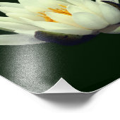 Single Lotus Blossom 8x8 Fotodruck (Ecke)