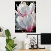 Single Magnolia Blume Poster (Heimbüro)