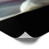 Single Magnolia Blume Poster (Ecke)