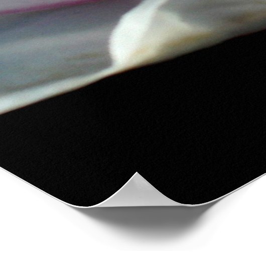 Single Magnolia Blume Poster (Ecke)