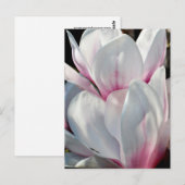 Single Magnolia Blume Postkarte (Vorne/Hinten)