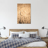 Single Maisstalk vor Ort Leinwanddruck (Insitu (Schlafzimmer))
