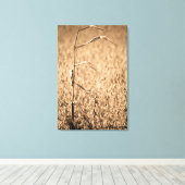 Single Maisstalk vor Ort Leinwanddruck (Insitu (Holzboden))