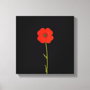 Single Mohn Blume auf Leinwand