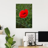 Single Mohn Blume Foto Poster (Heimbüro)