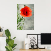 Single Mohn Blume Foto Poster (Heimbüro)