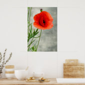 Single Mohn Blume Foto Poster (Küche)