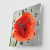 Single Mohn Blume Foto Quadratische Wanduhr (Winkel)