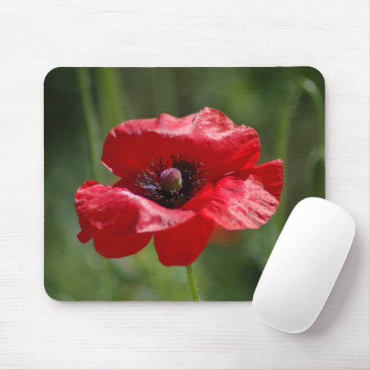 Single Mousepad (Mit Mouse)