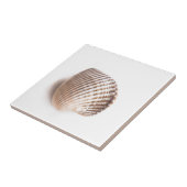 Single-Muschel Fliese (Seite)