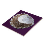 Single-Muschelfliese Fliese (Seite)